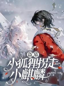 盗墓狐狸3