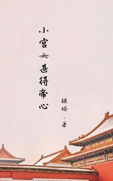 小宫女与皇上的