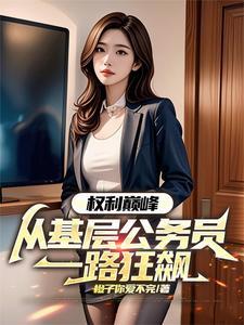 权力巅峰是什么样的书
